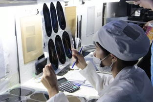 色彩大會第二日 眾企業(yè)齊聚思明通崯濤油墨工廠，實(shí)地參觀學(xué)習(xí)與深度技術(shù)交流